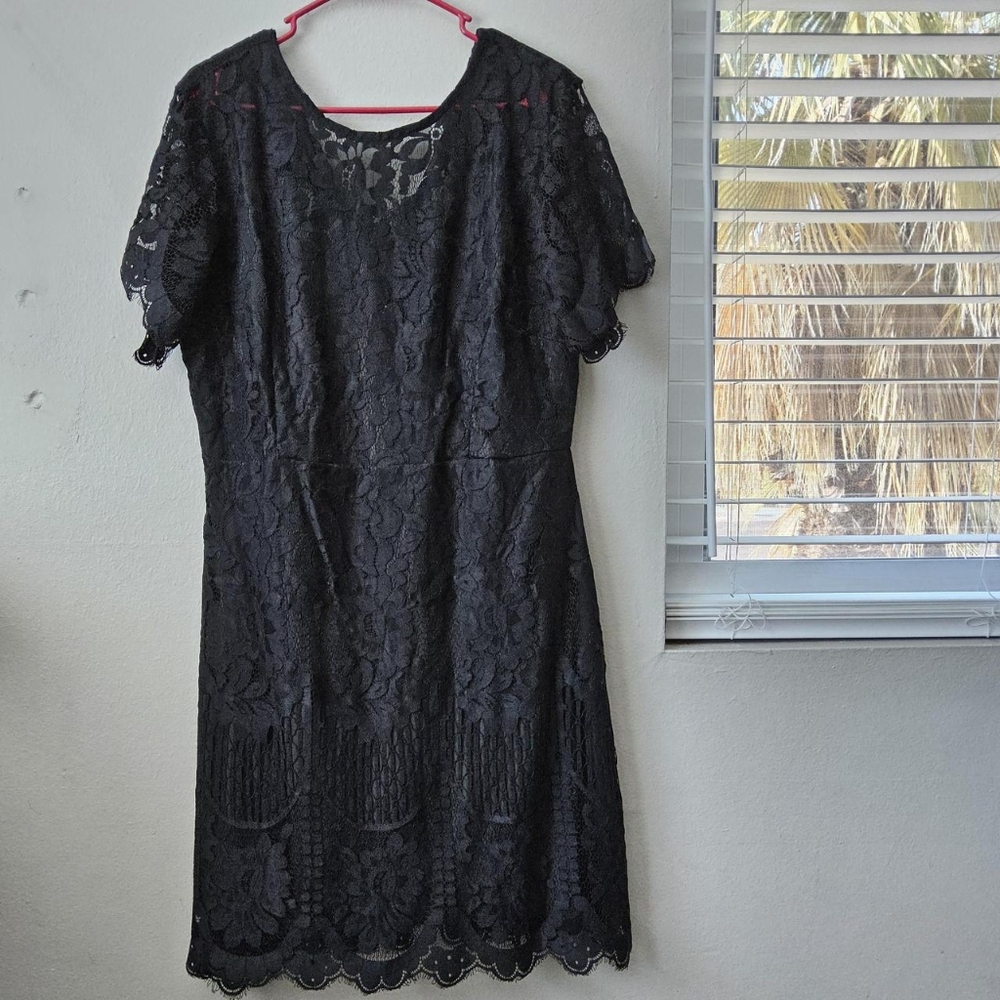 NWT MSLG Dress